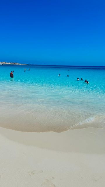 贾兹塔梅里纳，阿尔玛扎湾-旅行者