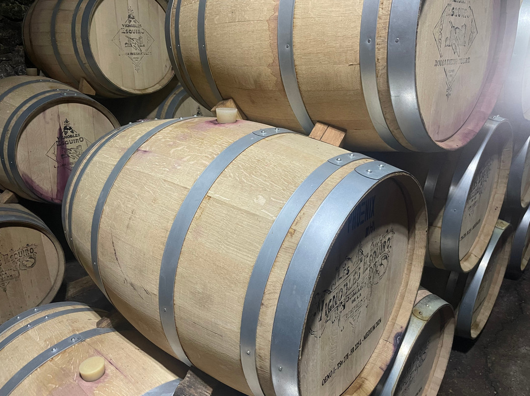 Domaine de La Higuere , Vignobles Esquiro-Mirepoix必去景点