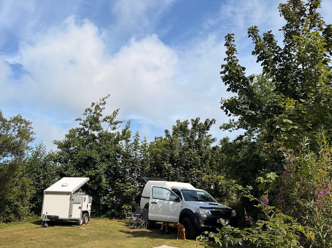 Warcombe Farm Camping Park主图