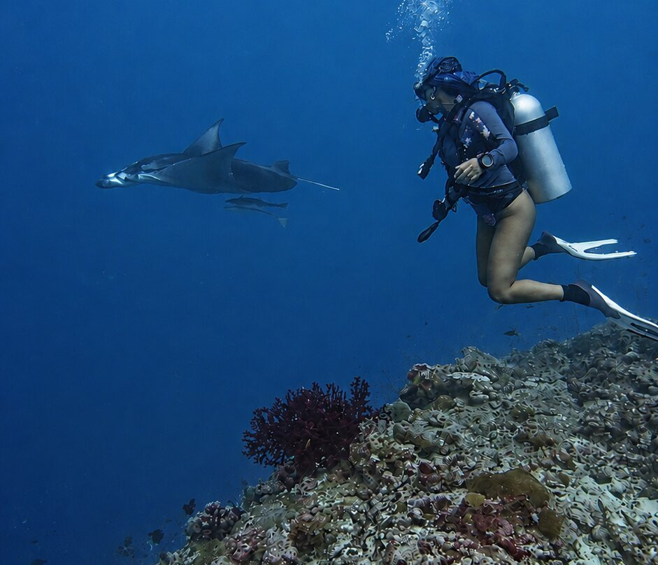 Jerrys Dive Club Rasdhoo-拉斯胡必去景点