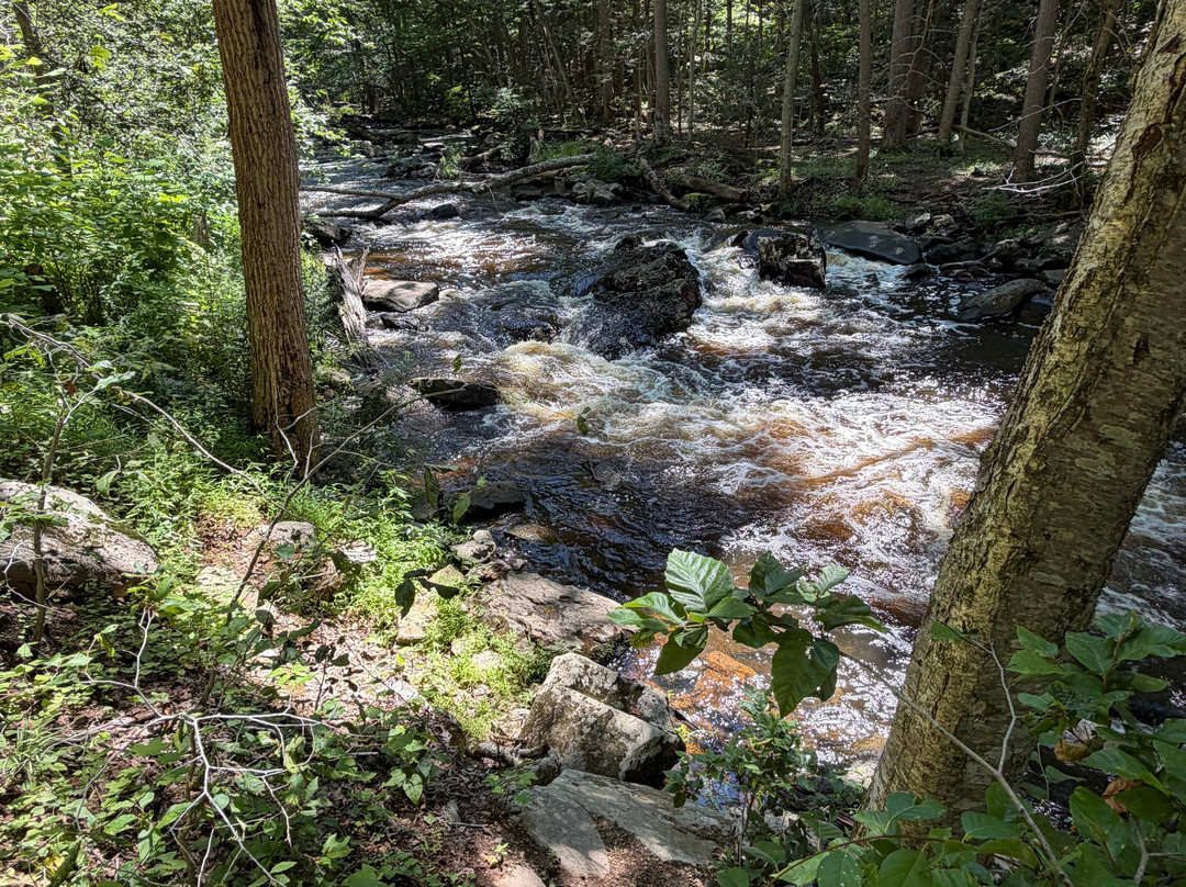 Hacklebarney State Park-Long Valley必去景点