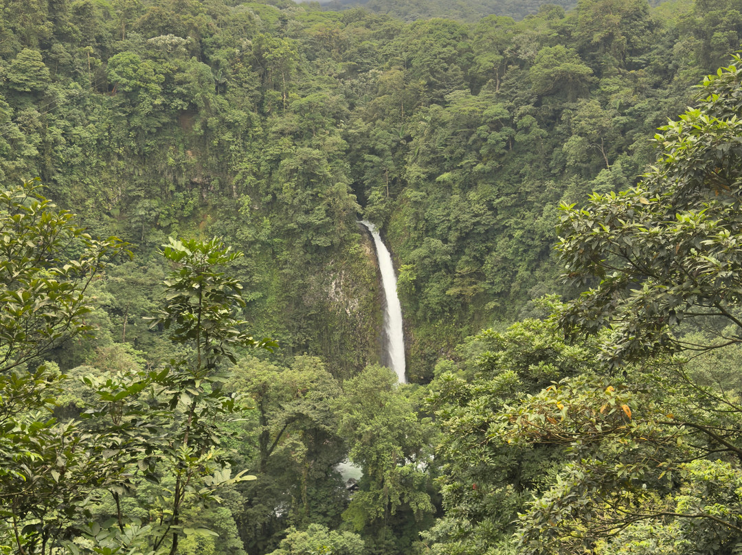 La Fortuna Waterfall-福德圣卡洛斯必去景点