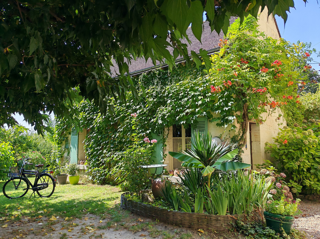 La Magnanerie, site troglodytique-Bourre必去景点