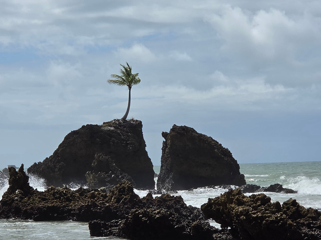 Praia de Tambaba-Conde必去景点
