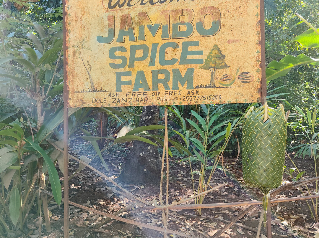 Jambo Spice Farm-桑给巴尔市必去景点
