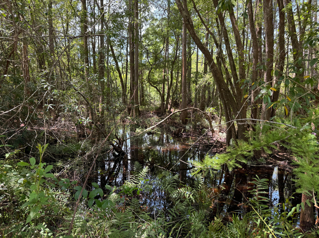 Blackwater Heritage State Trail-Milton必去景点