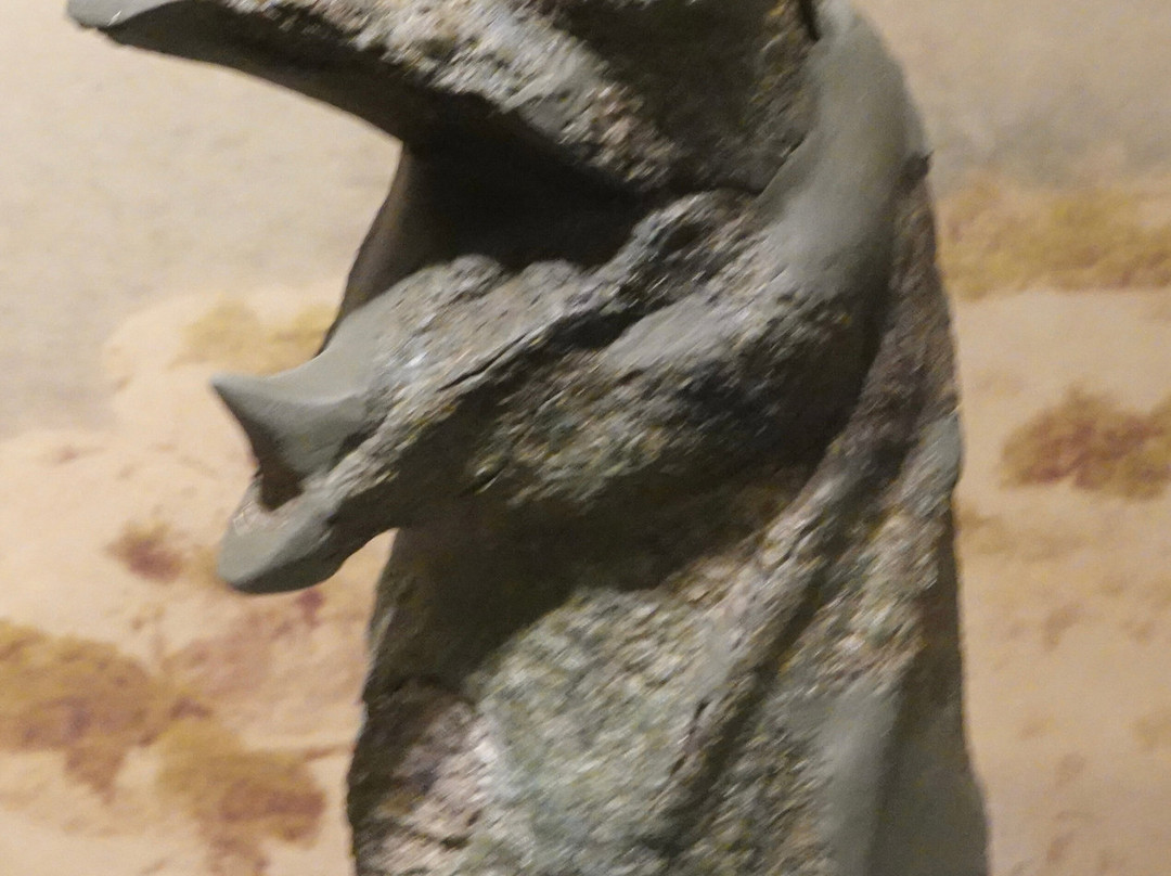 Archaeological Museum of Corinth-科林斯必去景点