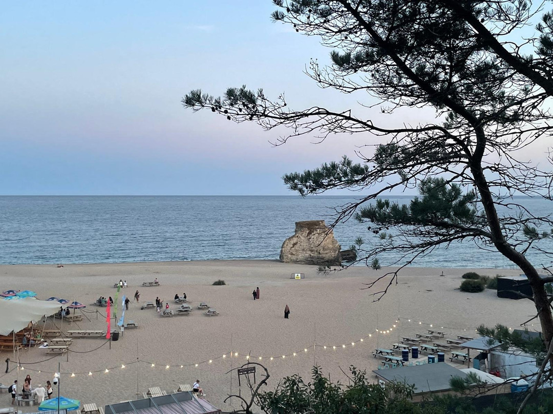 Carlyon Beach-圣奥斯特尔必去景点
