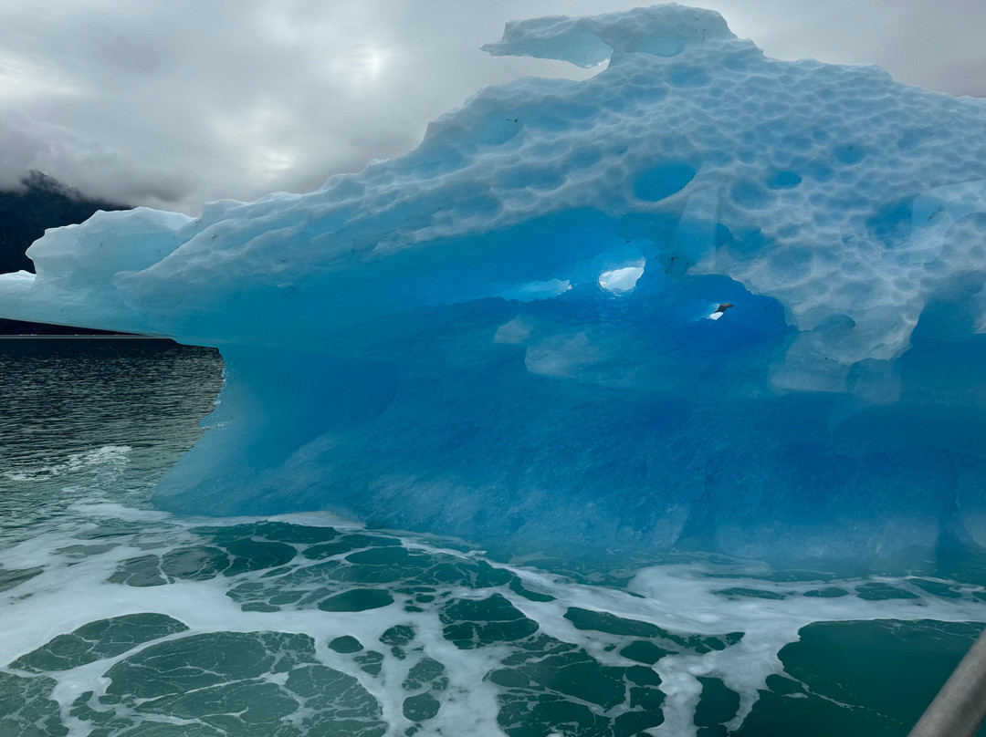 Seek Alaska Tours-Petersburg必去景点