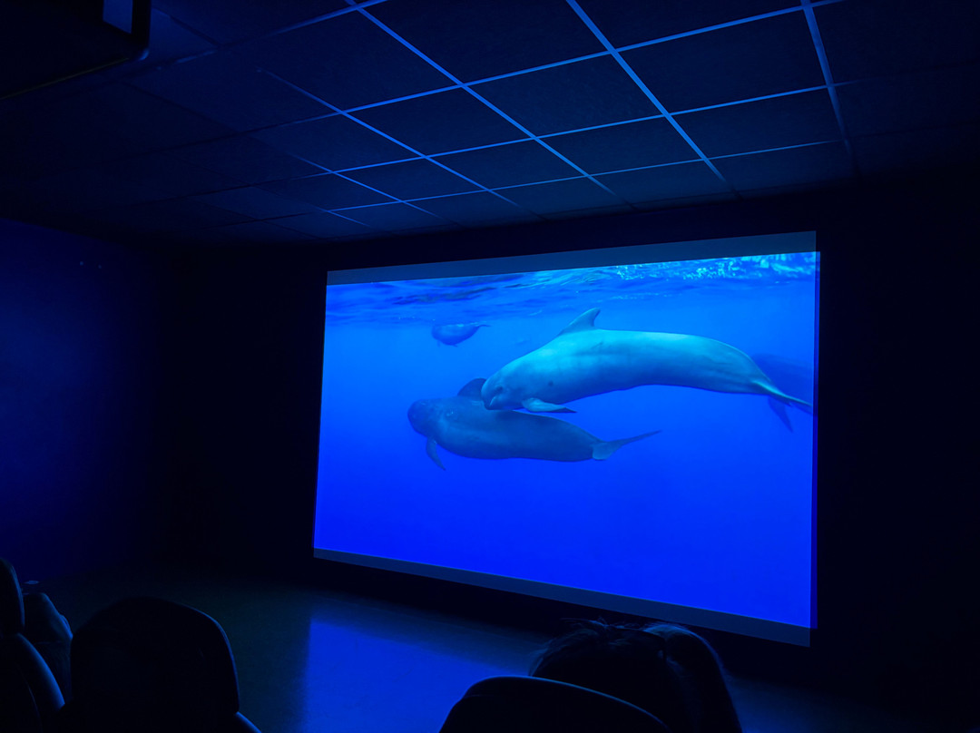 Aquarium de Biarritz-比亚里茨必去景点