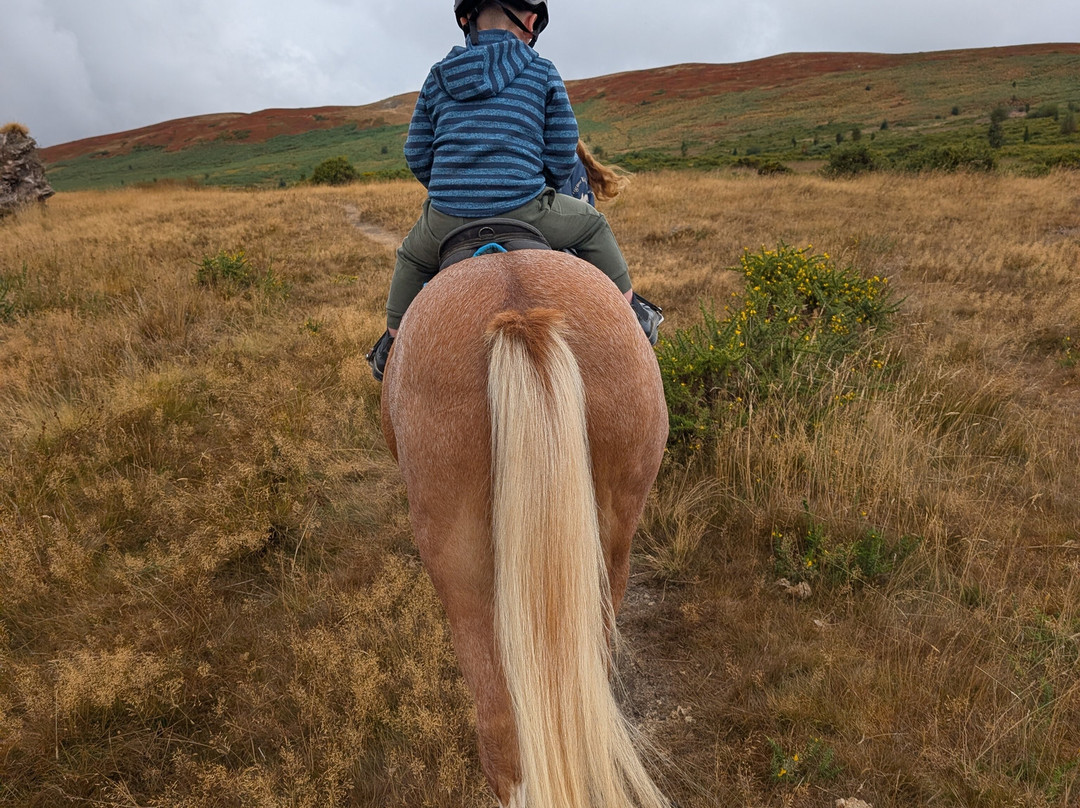 Bryngwyn Riding Centre-Kington必去景点