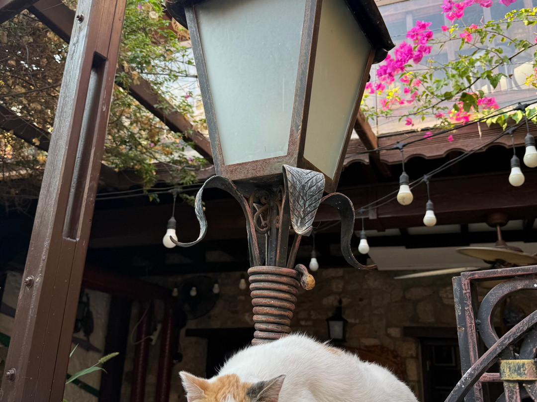 Marmaris Old Town-马尔马里斯必去景点