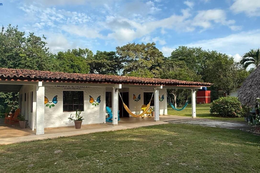 Alas pintadas