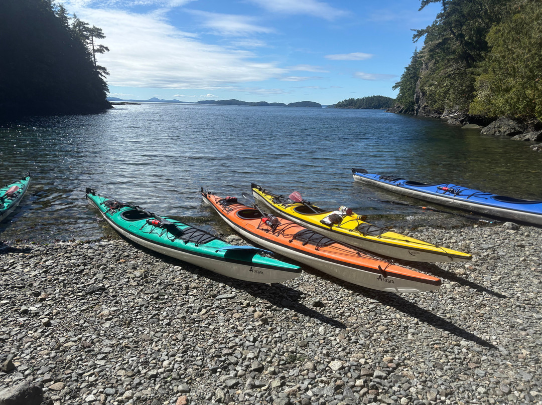 Kingfisher Wilderness Adventures-Port McNeill必去景点