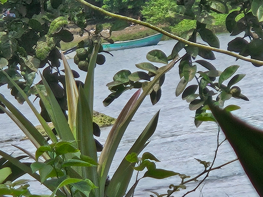 Tundo Tours-Bahia Solano必去景点