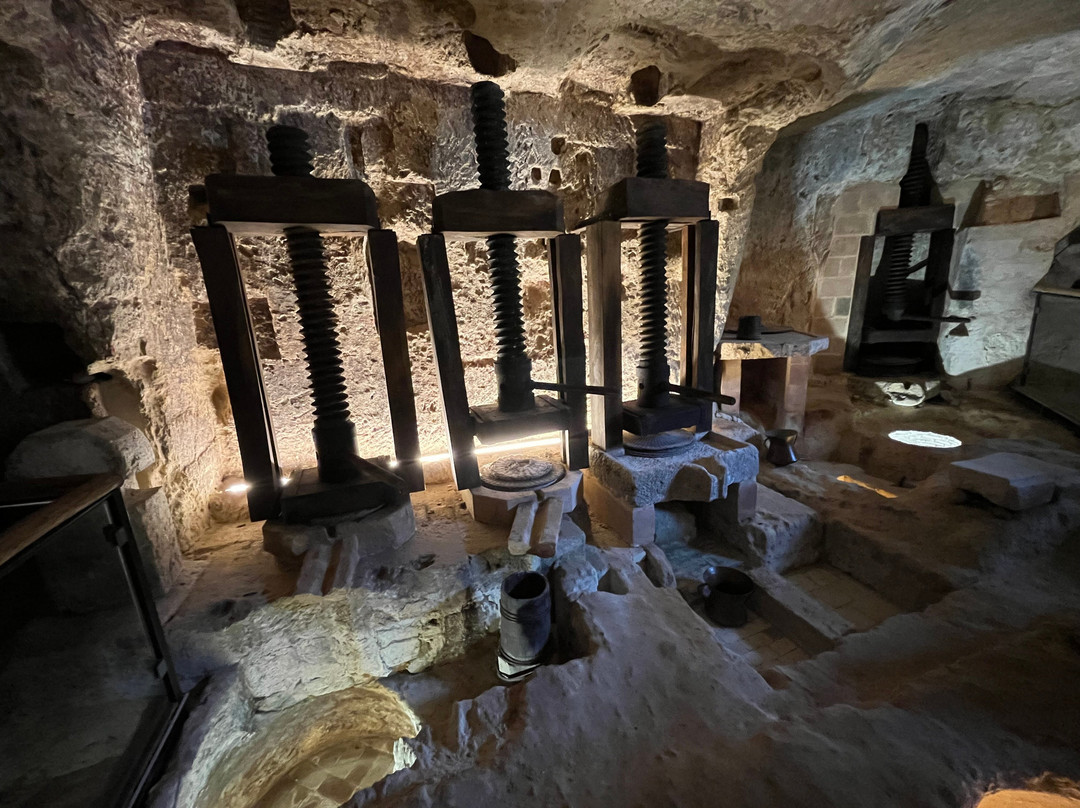 MOOM Matera Olive Oil Museum-马泰拉必去景点