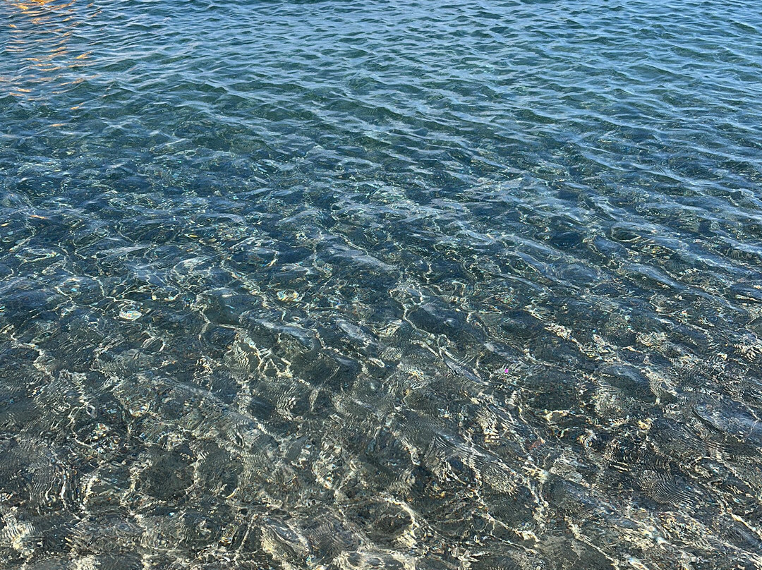 Playa El Flamingo-Marina di Camerota必去景点
