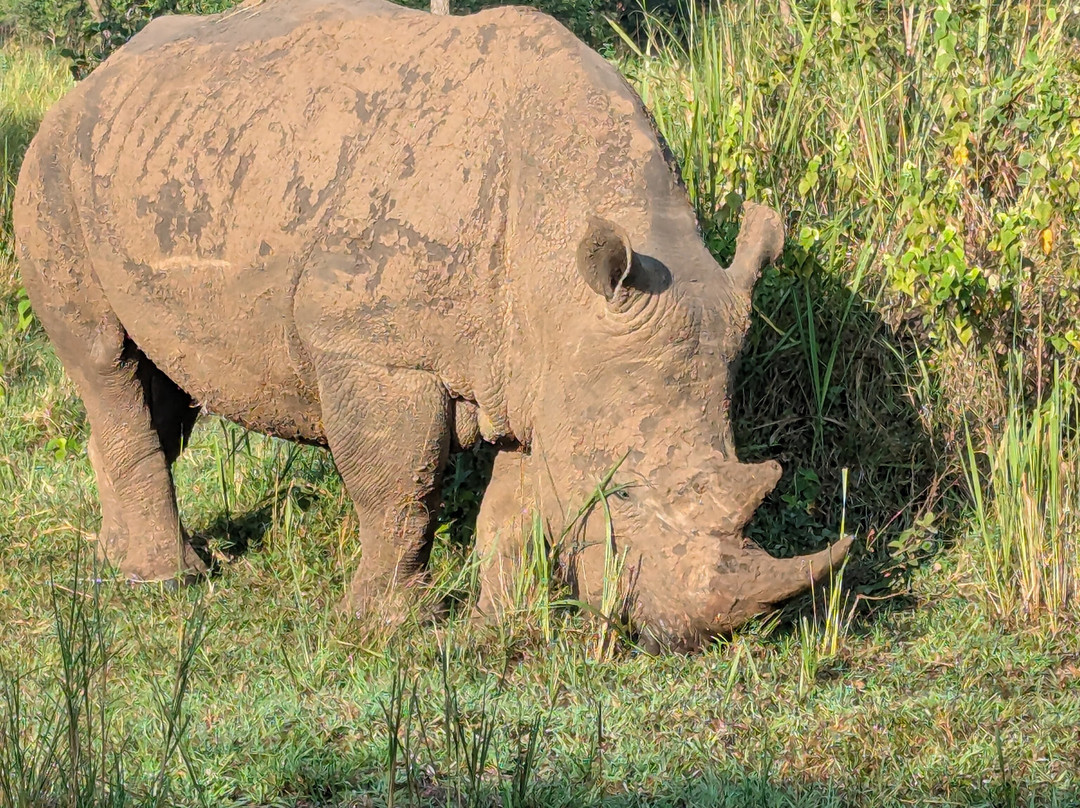 Emerald of Africa Safaris-布恩迪难以穿越的国家公园必去景点