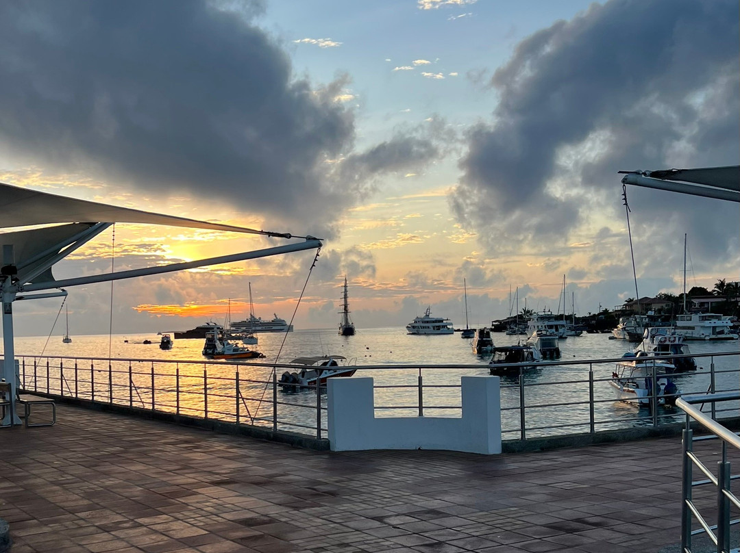 Malecon de Puerto Ayora-阿约拉港必去景点