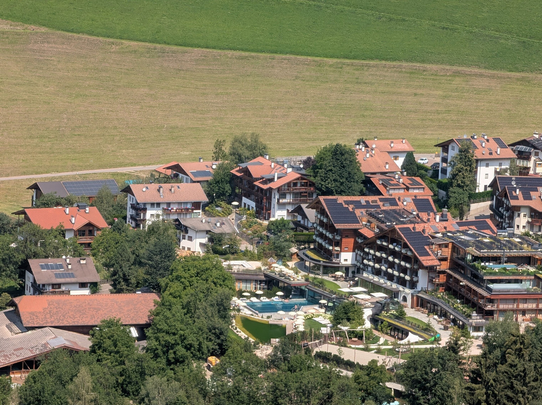 Familyhotel Sonnwies Dolomites主图
