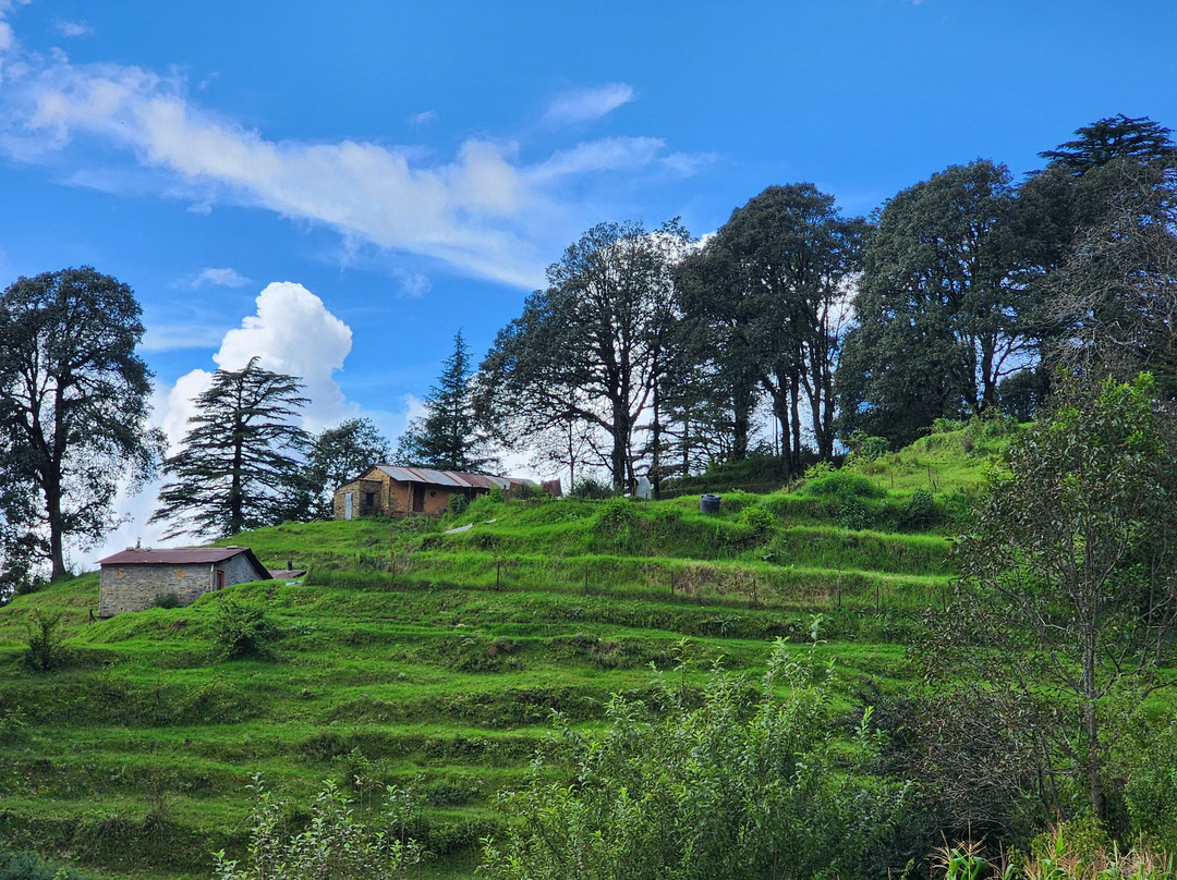 Kapkot酒店住宿-Nine Furlongs, Binsar Wildlife Sanctuary