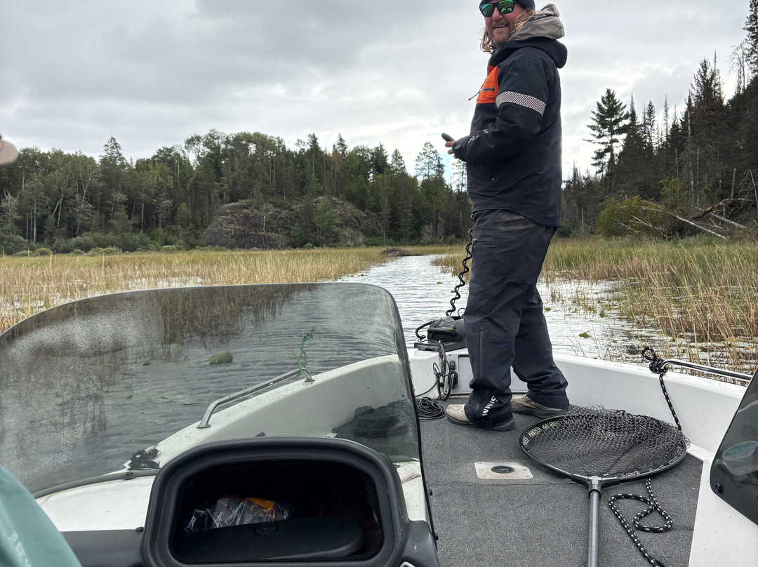Voyageurs National Park Tours, Rainy Lake Guiding-International Falls必去景点