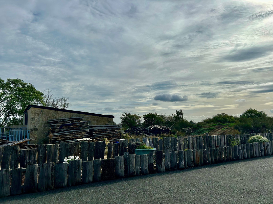 Marsh Farm Animal Adventure Park-Woodham Ferrers必去景点