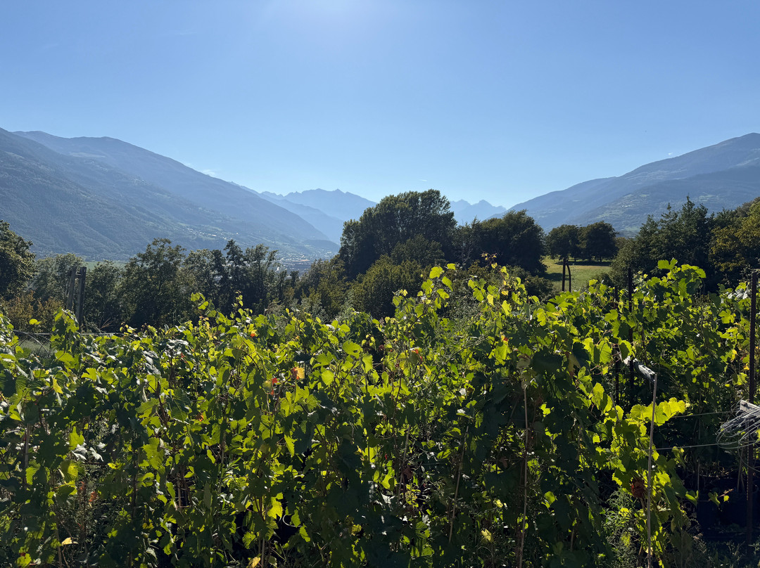 Grosjean Vins