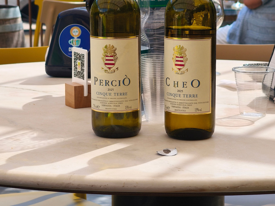 Winery CheO-韦尔纳扎必去景点