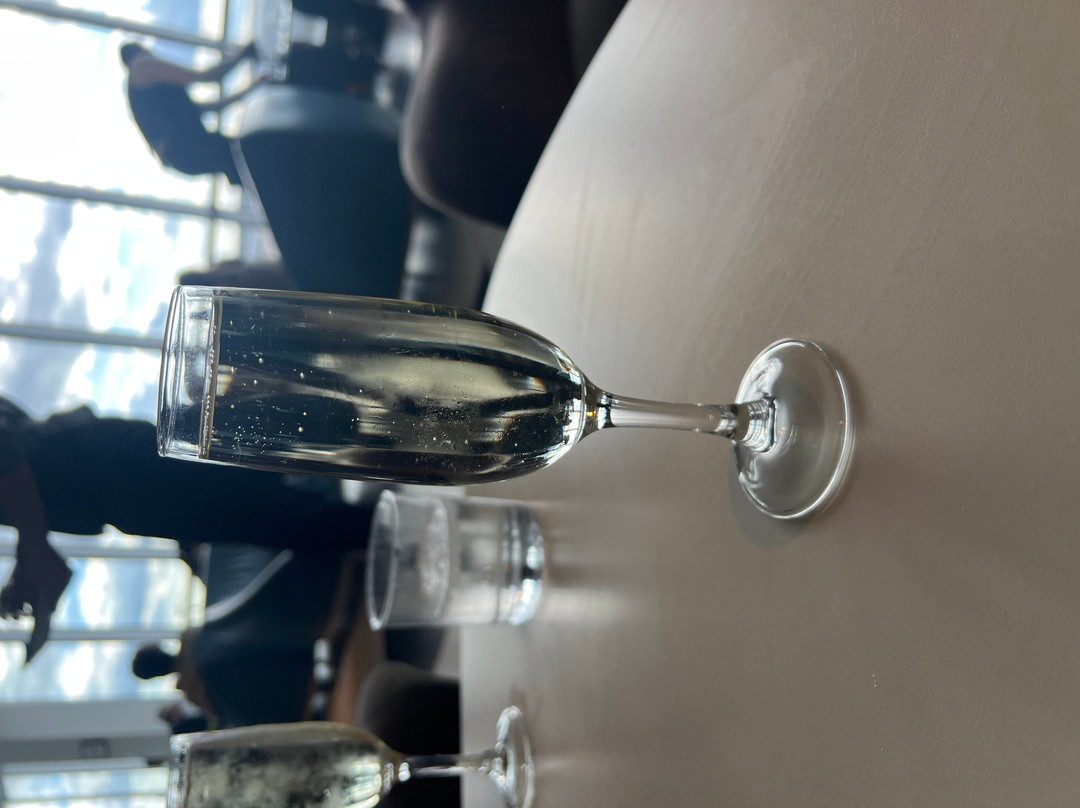 Plaza Premium Lounge Gatwick North Departures-霍利必去景点