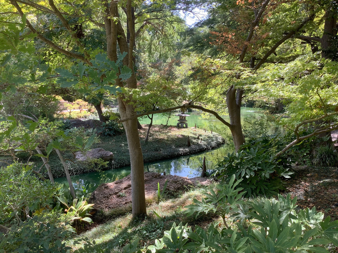Fort Worth Botanic Garden-沃思堡必去景点