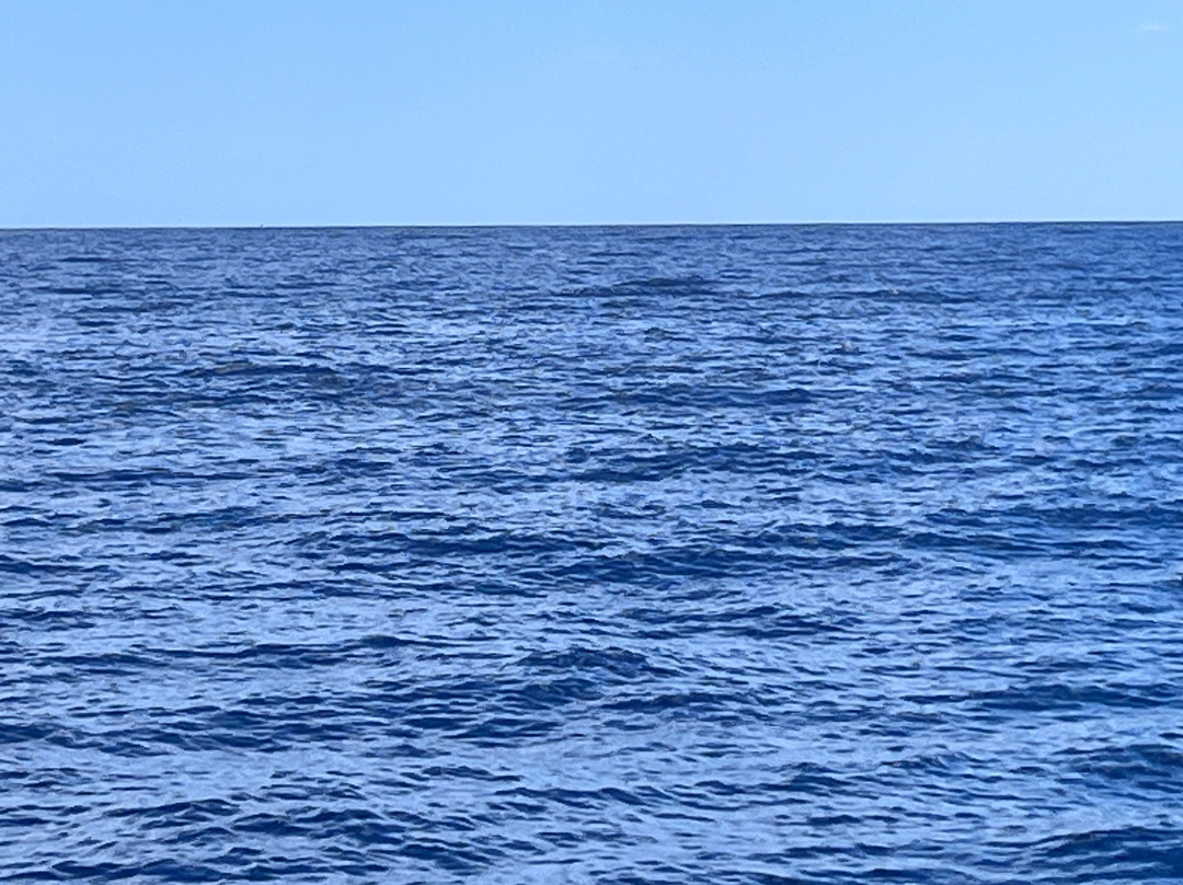 Croisieres & Decouvertes - Le Grand Bleu-圣吉尔莱班必去景点