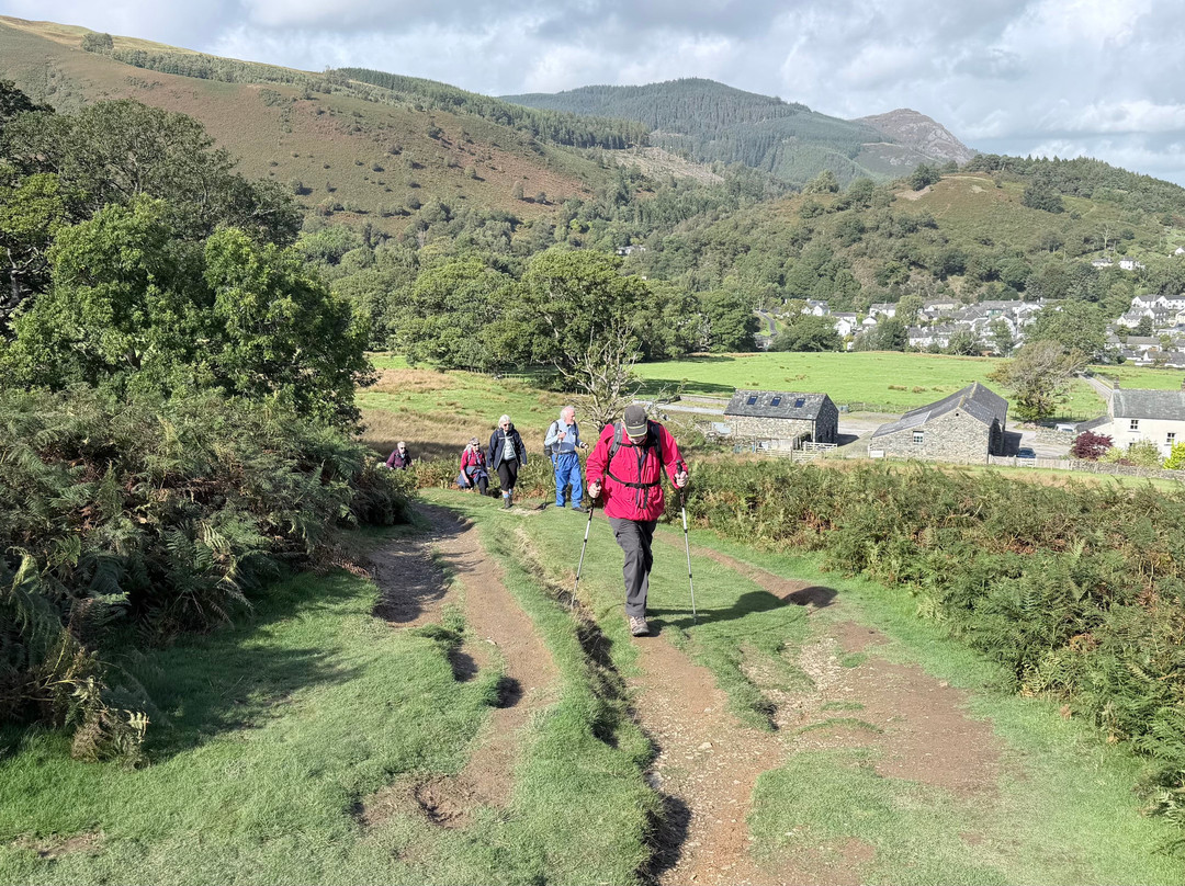 Derwent Bank主图