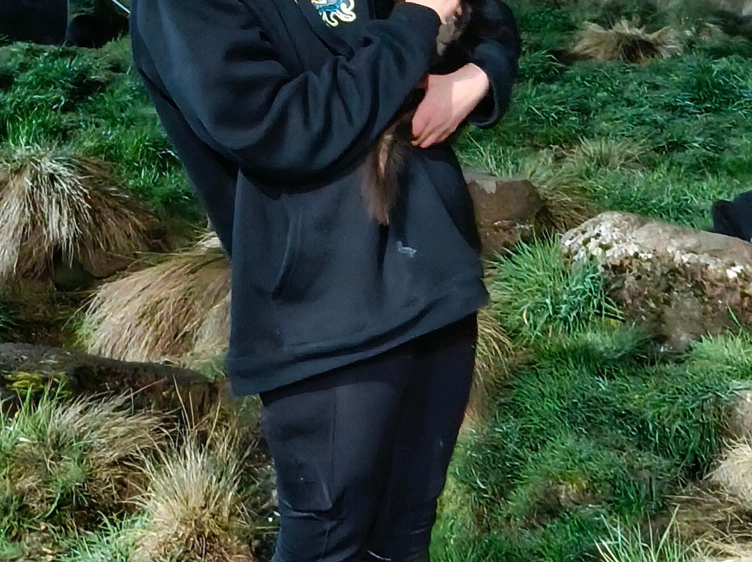 袋獾摇篮山-Cradle Mountain必去景点