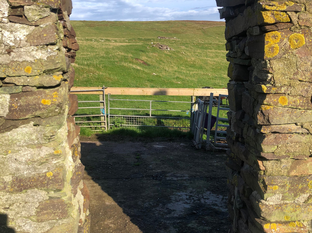 Sunshine Shetland oo croft-Lerwick必去景点