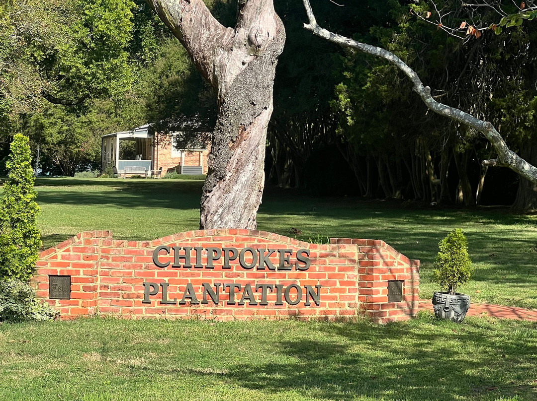 Chippokes State Park-Surry必去景点
