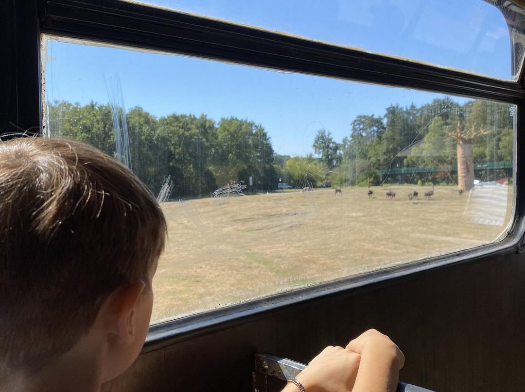 Serengeti-park Hodenhagen-Hodenhagen必去景点