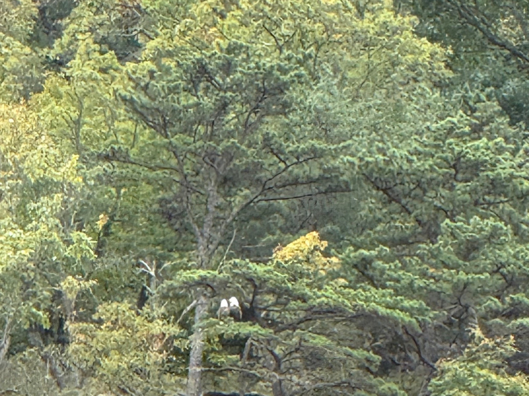 Harpers Ferry Station-哈泊斯费里必去景点
