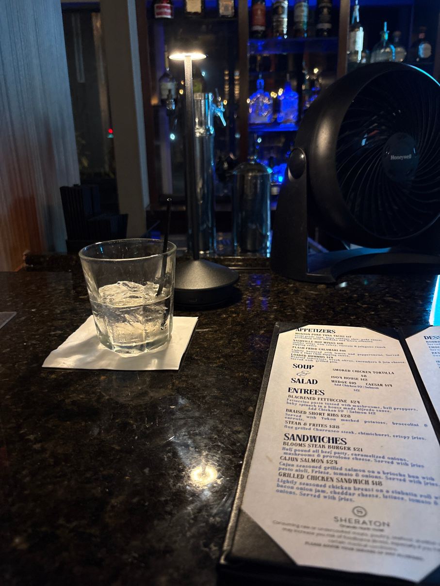 奥兰多北喜来登酒店-旅行者