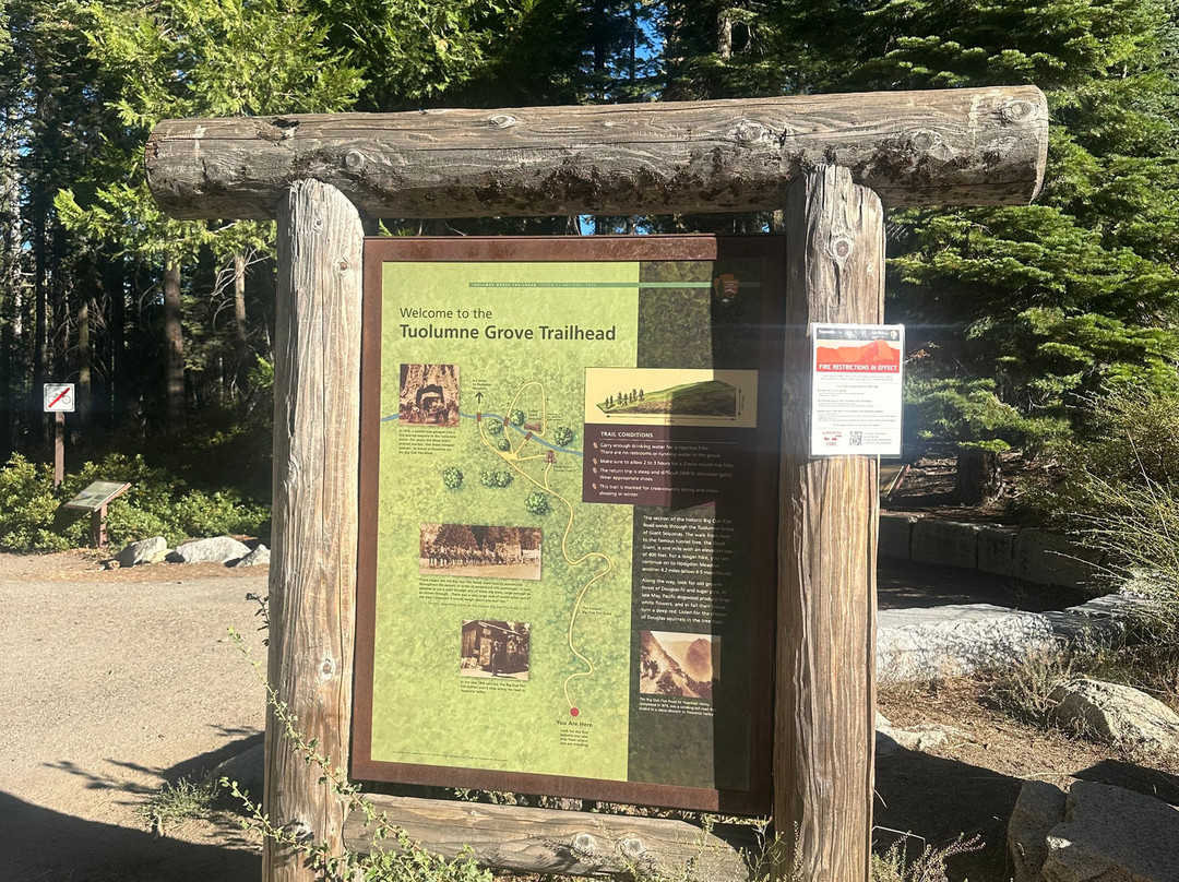 Tuolumne Grove of Giant Sequoias-优胜美地国家公园必去景点
