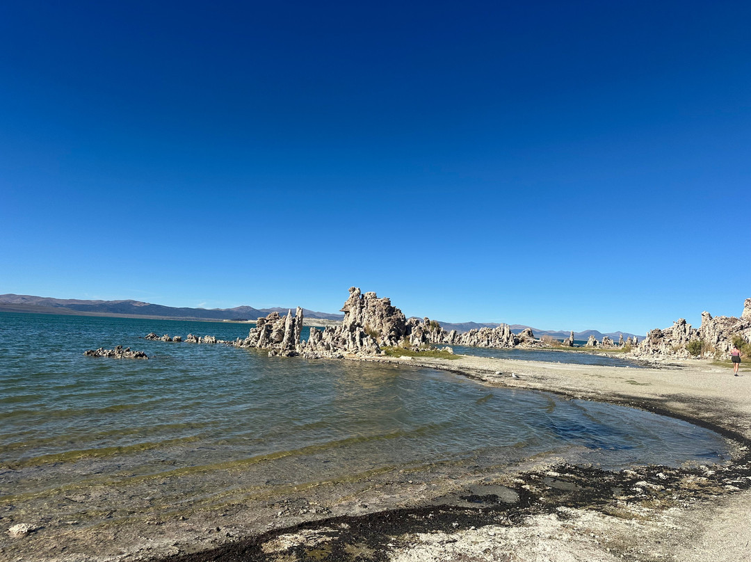 Mono Lake Tufa State Natural Reserve-利韦宁必去景点