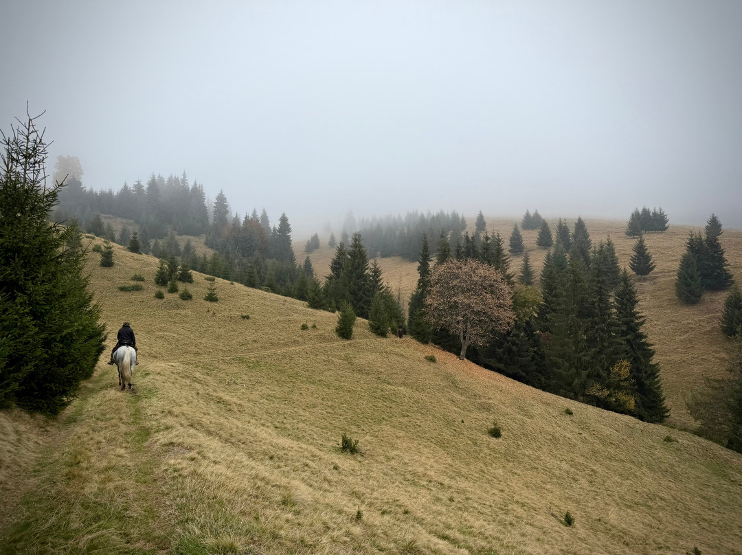 Hipparion Trails-Gheorgheni必去景点