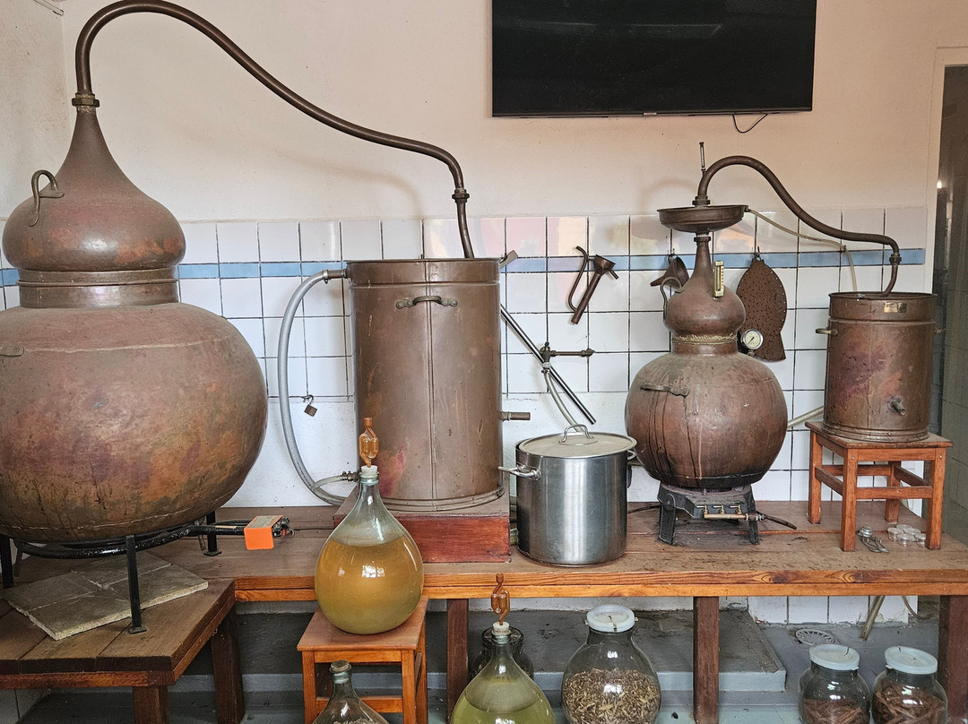 The Cadushy Distillery-Rincon必去景点