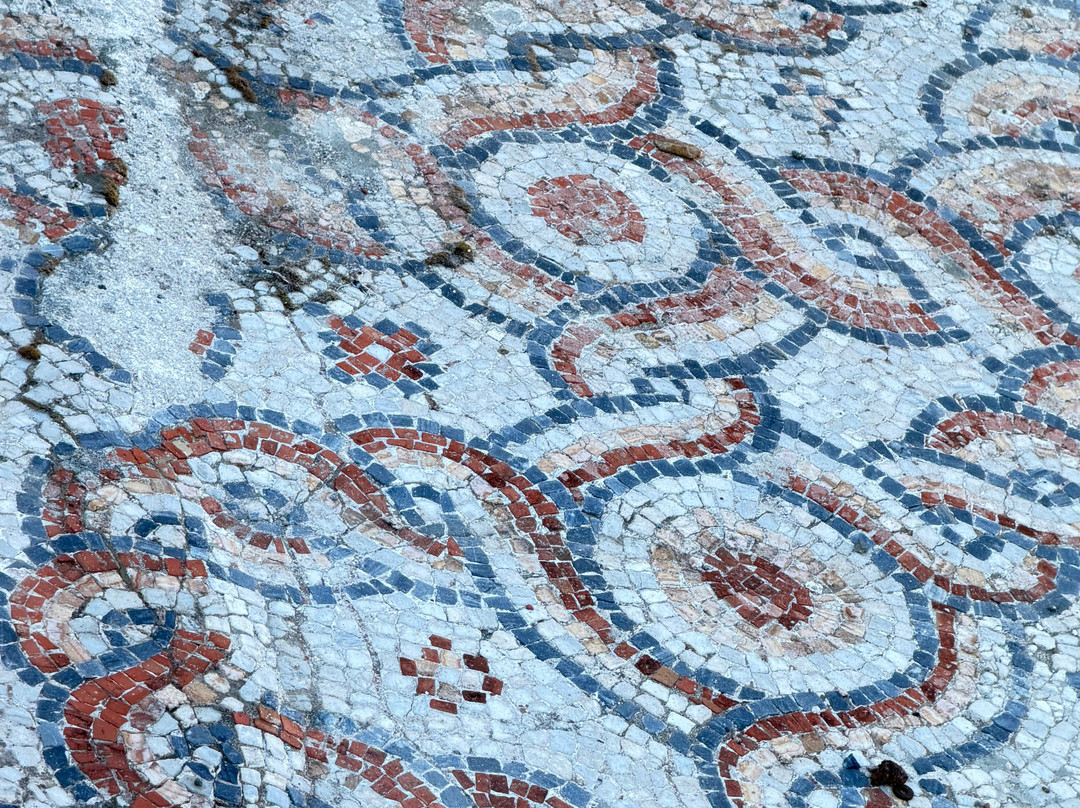 塞尔丘克旅游景点-艾菲斯古城