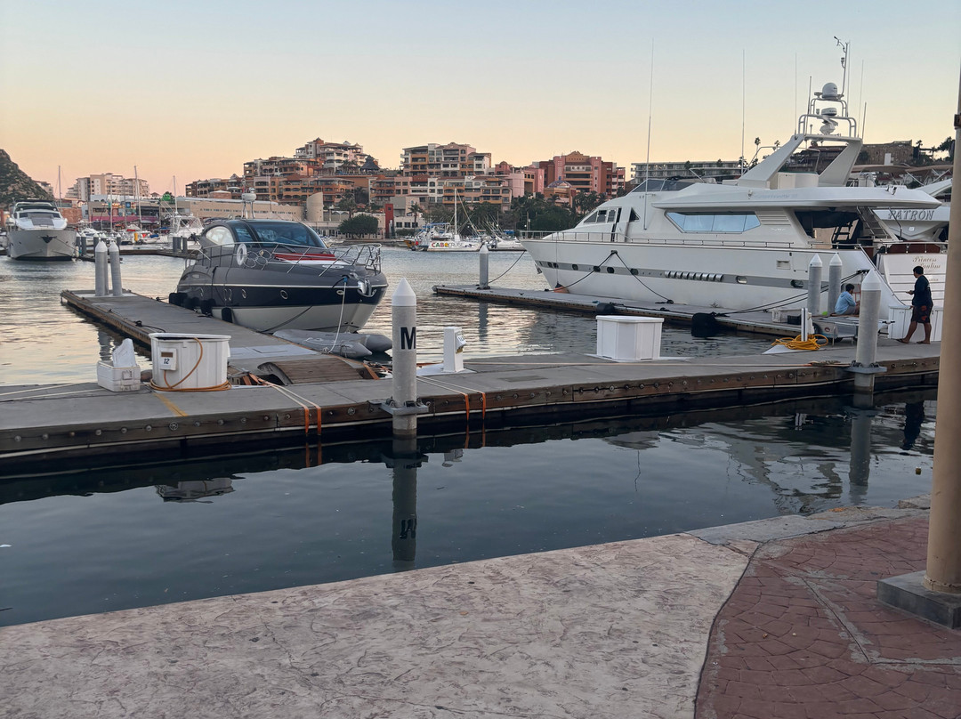 Marina Cabo San Lucas-卡波圣卢卡斯必去景点