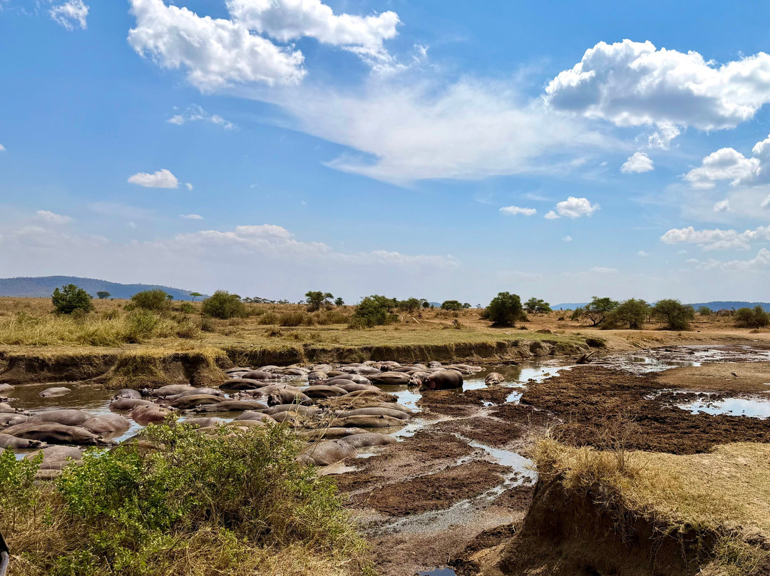 Tanzania Roadside Expeditions-阿鲁沙必去景点