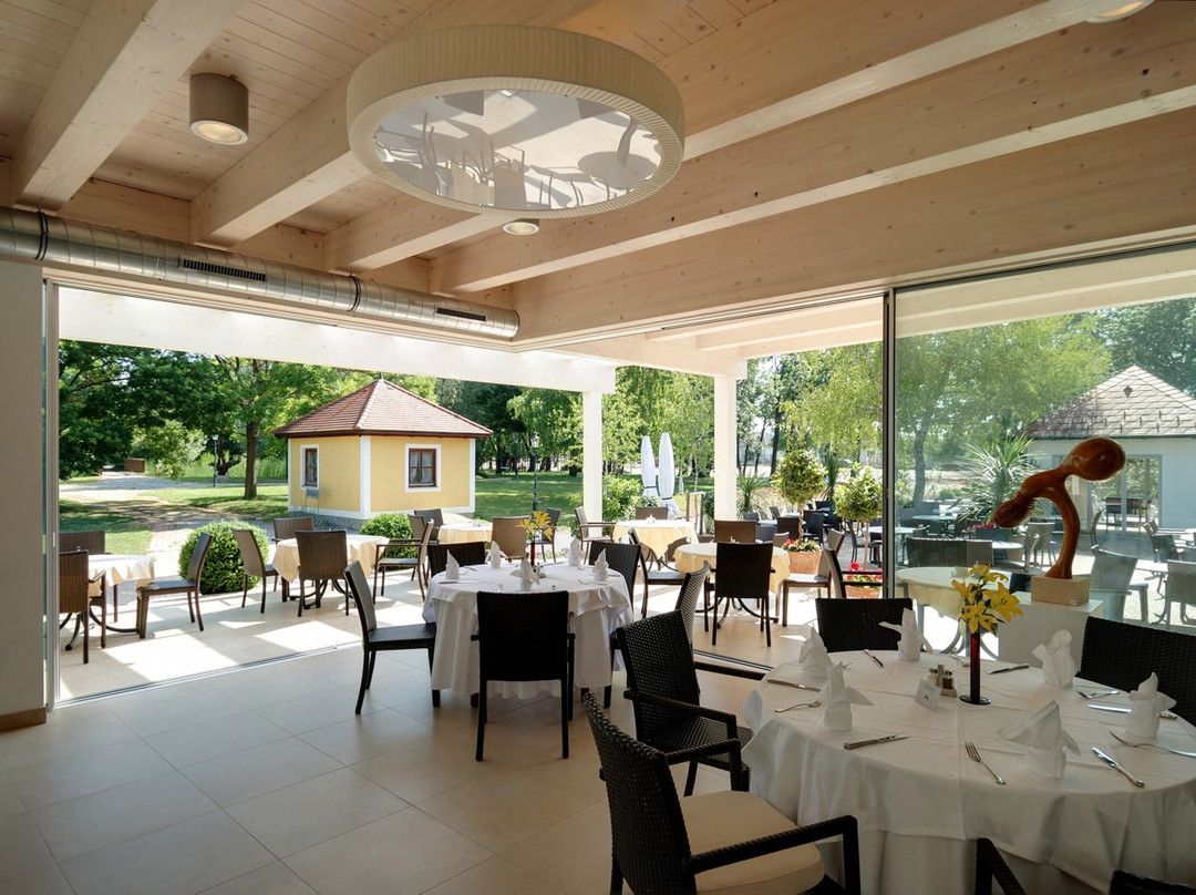Frauenkirchen酒店住宿-Birkenhof - Hotel & Restaurant