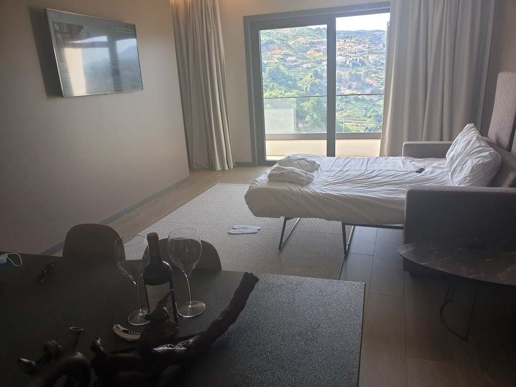 MW Douro Wine & Spa主图