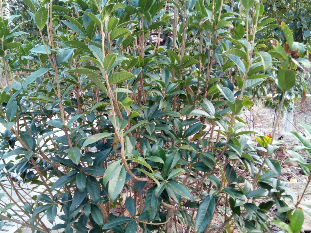 龙女温泉-郴州市必去景点