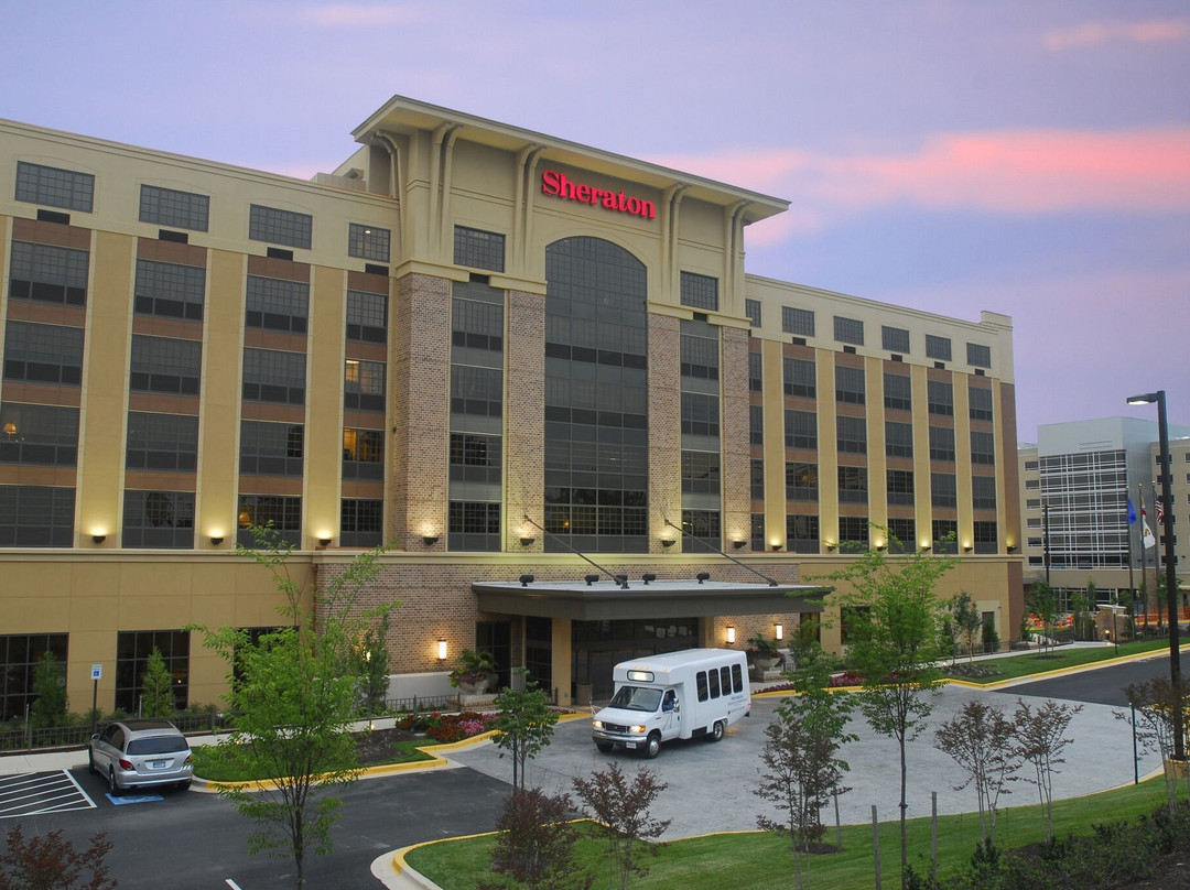 Sheraton Baltimore Washington Airport Hotel - BWI主图